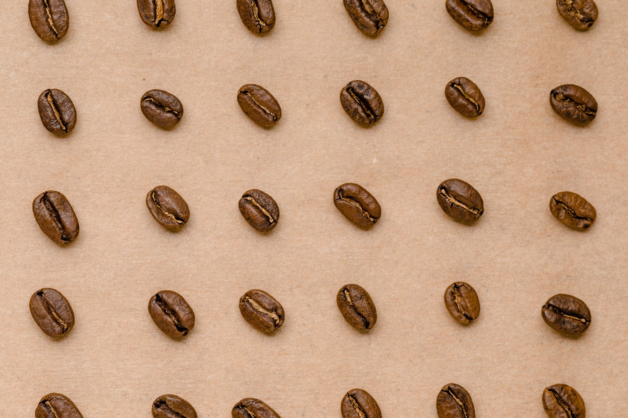 A fresh coffee beans for coffee scrub